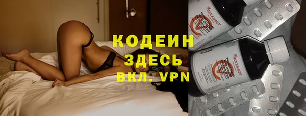 прущие грибы Абаза