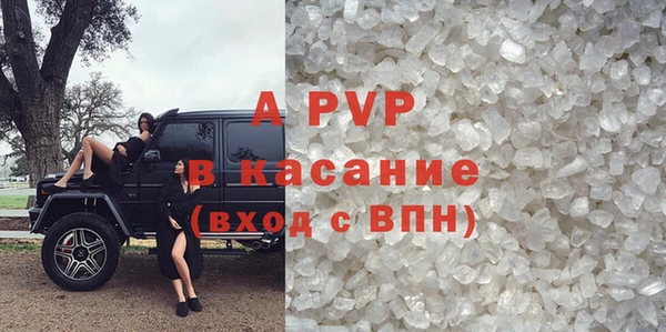 прущие грибы Абаза