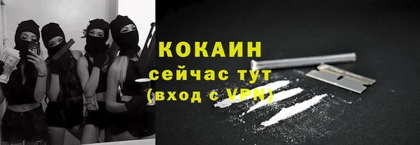 прущие грибы Абаза