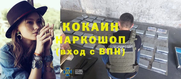 прущие грибы Абаза