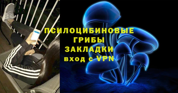 прущие грибы Абаза