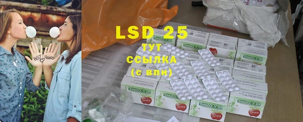прущие грибы Абаза