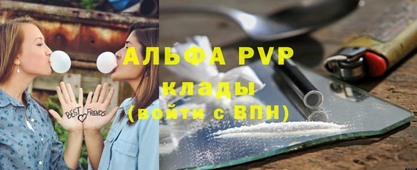прущие грибы Абаза