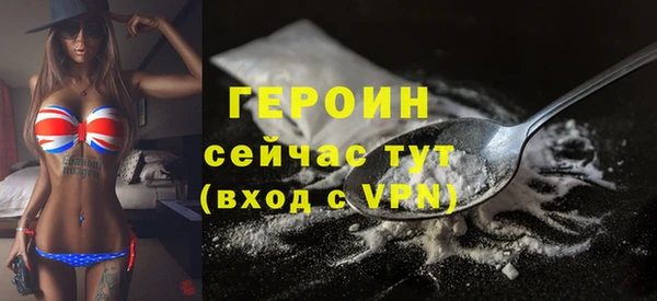 дживик Ельня